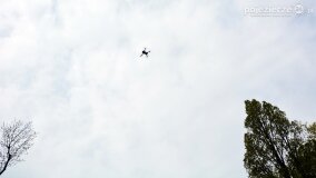 Pałac Rybieniec - magiczne miejsce w sercu Wielkopolski! - zdjęcie 6