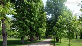 „Spacerując po parku w Rybieńcu, spacerujemy po ukrytych skarbach” - zdjęcie 35