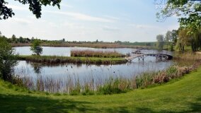 „Spacerując po parku w Rybieńcu, spacerujemy po ukrytych skarbach” - zdjęcie 30