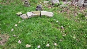 „Spacerując po parku w Rybieńcu, spacerujemy po ukrytych skarbach” - zdjęcie 28