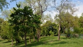 „Spacerując po parku w Rybieńcu, spacerujemy po ukrytych skarbach” - zdjęcie 26