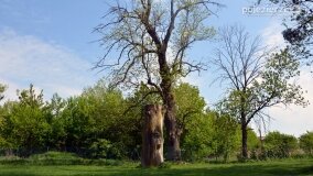 „Spacerując po parku w Rybieńcu, spacerujemy po ukrytych skarbach” - zdjęcie 25