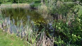 „Spacerując po parku w Rybieńcu, spacerujemy po ukrytych skarbach” - zdjęcie 23