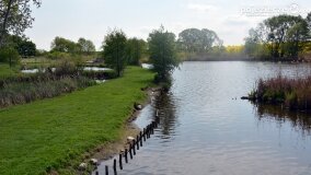 „Spacerując po parku w Rybieńcu, spacerujemy po ukrytych skarbach” - zdjęcie 21