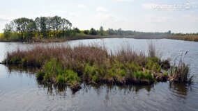 „Spacerując po parku w Rybieńcu, spacerujemy po ukrytych skarbach” - zdjęcie 19