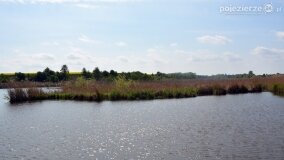 „Spacerując po parku w Rybieńcu, spacerujemy po ukrytych skarbach” - zdjęcie 13
