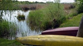 „Spacerując po parku w Rybieńcu, spacerujemy po ukrytych skarbach” - zdjęcie 11