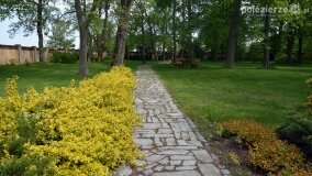 „Spacerując po parku w Rybieńcu, spacerujemy po ukrytych skarbach” - zdjęcie 2