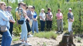 O zapomnianej niemieckiej zbrodni. Z „Dziekanki” na „doły śmierci” - zdjęcie 45