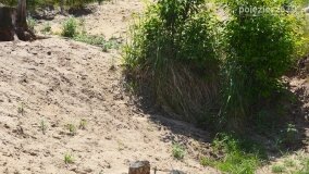 O zapomnianej niemieckiej zbrodni. Z „Dziekanki” na „doły śmierci” - zdjęcie 40