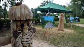 Plener artystyczny w Parku Wolności w Barcinie - zdjęcie 20