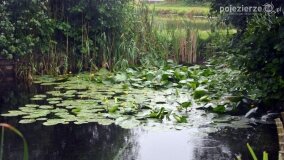 Pałac w Rybieńcu zachwycił turystów…  - zdjęcie 41