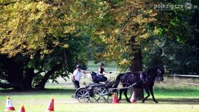 Więźniarka hitem XIX Konkursu Pojazdów Konnych w Lubostroniu - zdjęcie 39