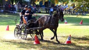 Więźniarka hitem XIX Konkursu Pojazdów Konnych w Lubostroniu - zdjęcie 38