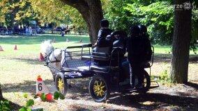 Więźniarka hitem XIX Konkursu Pojazdów Konnych w Lubostroniu - zdjęcie 35