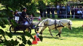 Więźniarka hitem XIX Konkursu Pojazdów Konnych w Lubostroniu - zdjęcie 33