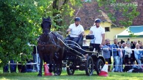 Więźniarka hitem XIX Konkursu Pojazdów Konnych w Lubostroniu - zdjęcie 31