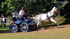 Więźniarka hitem XIX Konkursu Pojazdów Konnych w Lubostroniu - zdjęcie 30
