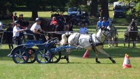 Więźniarka hitem XIX Konkursu Pojazdów Konnych w Lubostroniu - zdjęcie 29