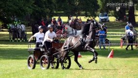 Więźniarka hitem XIX Konkursu Pojazdów Konnych w Lubostroniu - zdjęcie 28