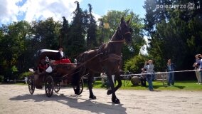 Więźniarka hitem XIX Konkursu Pojazdów Konnych w Lubostroniu - zdjęcie 23