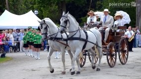Więźniarka hitem XIX Konkursu Pojazdów Konnych w Lubostroniu - zdjęcie 12