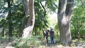 Franciszek Saskowski, Popowo Ignacewo i Mielno w programie „Było… nie minęło” TVP Historia! - zdjęcie 15