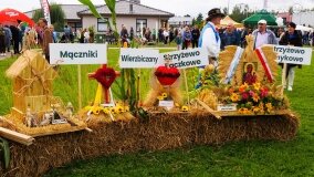 Nieco deszczowe, lecz bardzo udane Dożynki Gminy Gniezno - zdjęcie 26