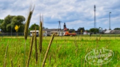 Tawerna Wachta - zdjęcie 28