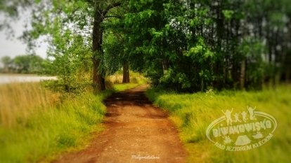 Tawerna Wachta - zdjęcie 27