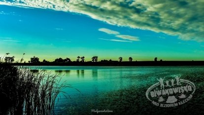 Tawerna Wachta - zdjęcie 24