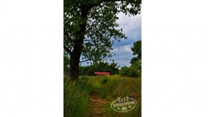 BIWAKOWISKO nad Jeziorem Kłeckim - zdjęcie 4