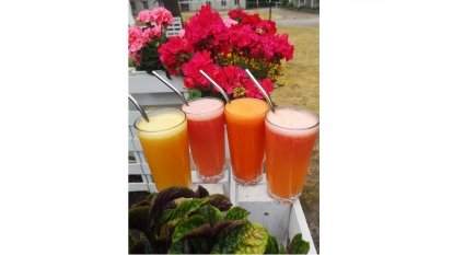 Restauracja Wozownia - pałac w Czerniejewie - zdjęcie 11