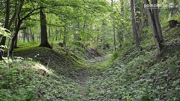 „Bieszczady” w sercu Wielkopolski