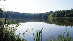 Park Krajobrazowy Promno