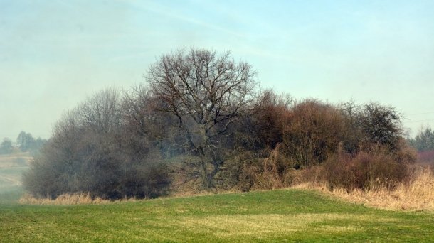 Zapomniane grodzisko w Łubowie