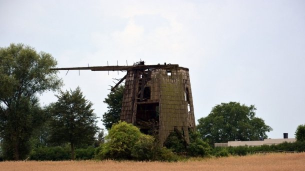 Wiatrak holender w Reczu