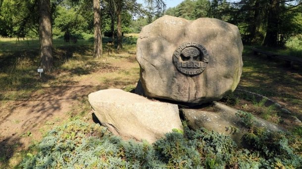 Arboretum w Zielonce