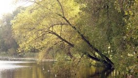 Mogilno – romantyczny park nad jeziorem