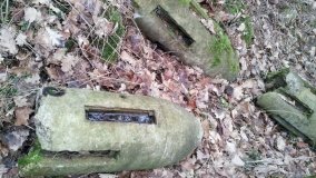 Cień swastyki nad Bednarami