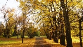 Egzotyczny park w Kobylnikach