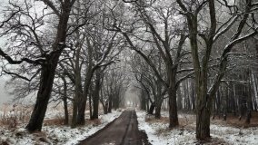 Jezierce – dwie ścieżki przyrodnicze