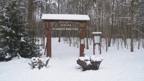 Leśna ścieżka Nadleśnictwa Miradz w zimowej szacie