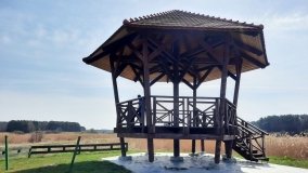 Ścieżka dydaktyczna nad „Morasiem” w Skokach