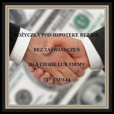 POZABANKOWA POZYCZKA DLA FIRM I ROLNIKOW BEZ BIK POD HIPOTEKE - zdjęcie 1