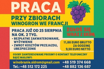 WINOBRANIE FRANCJA - zdjęcie 1
