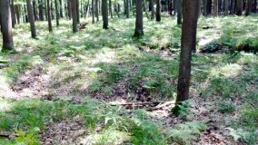 W ziemiankach spadochroniarzy  - zdjęcie 8