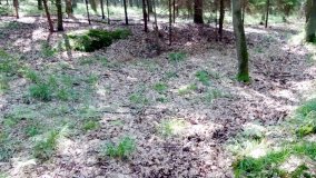 W ziemiankach spadochroniarzy  - zdjęcie 7