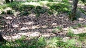 W ziemiankach spadochroniarzy  - zdjęcie 5