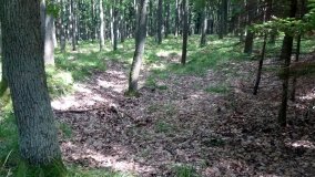 W ziemiankach spadochroniarzy  - zdjęcie 2